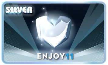 SILVER Card